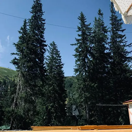 Юлия-2